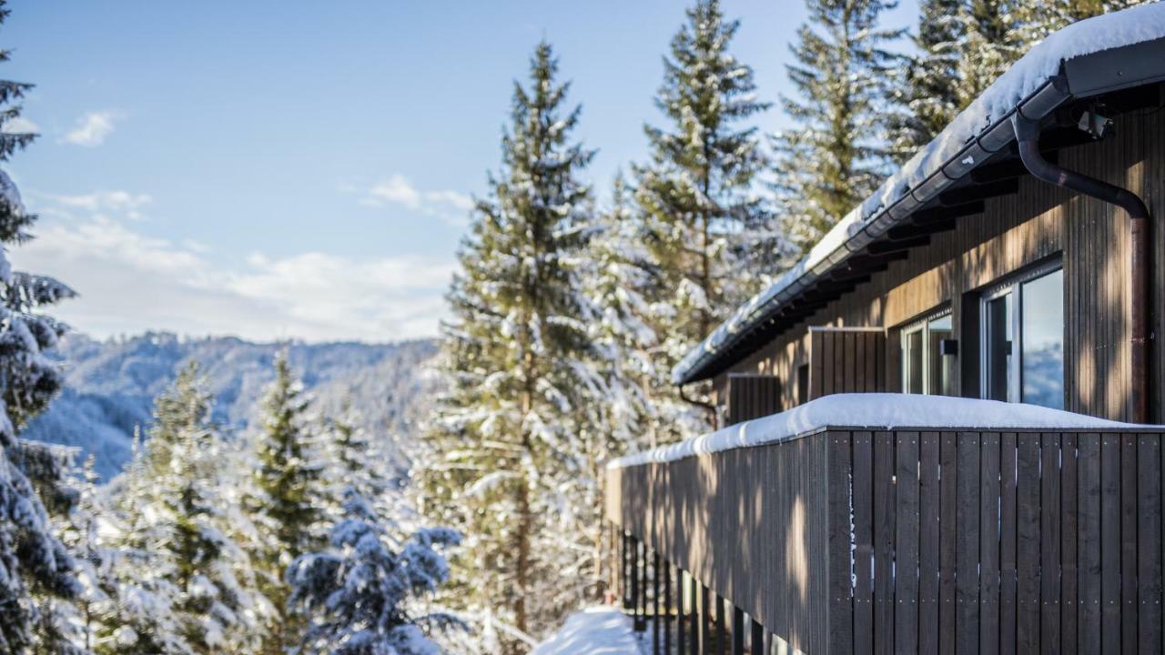 Apartamento Bienenkunde Lunz Lunz am See Exterior foto