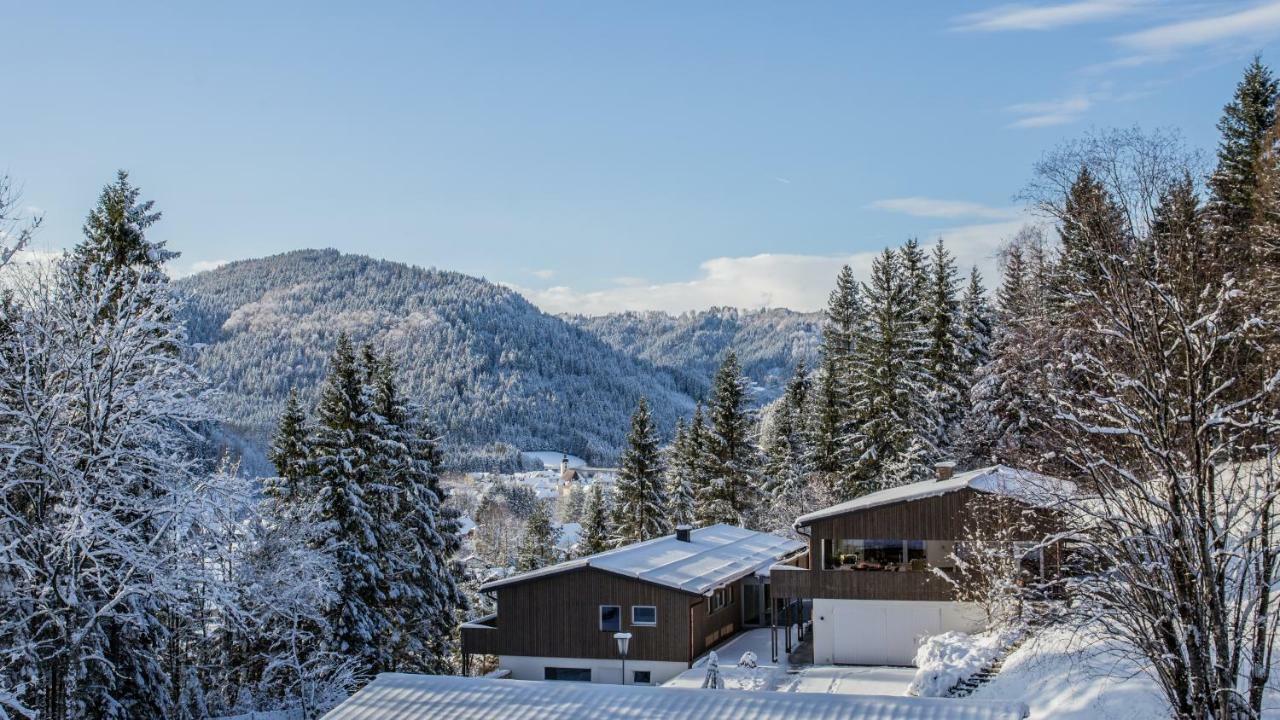 Apartamento Bienenkunde Lunz Lunz am See Exterior foto